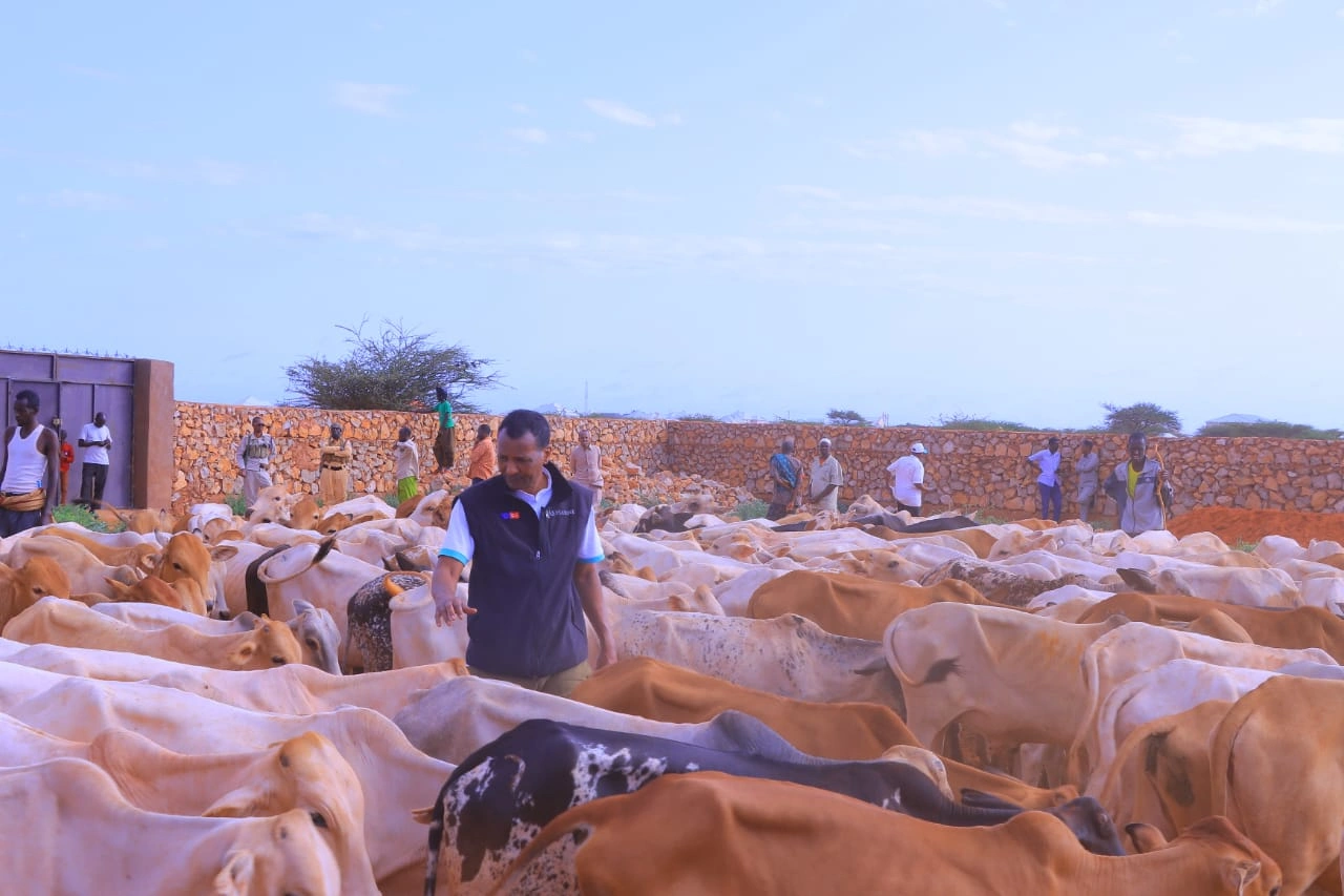 Qurban images Image 16